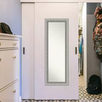 Miroir de porte pleine longueur élégant en étain brossé non biseauté 19" x 53"