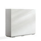 Metallic Heavy Planter for Outdoor Plants, 38Lx10Wx30H Inches Tall and Long Metal Divider Planter Box - 38x30x10