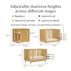Babyletto Palma 8-in-1 Convertible All-Stages Crib with Bassinet & Toddler Bed Kits
