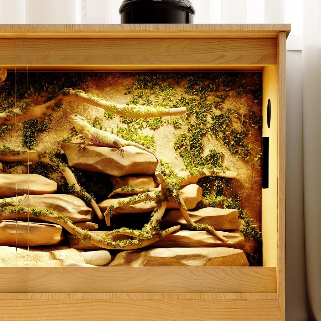 Reptile Habitat -Spacious Terrarium for Lizards, Snakes & More - 47.2